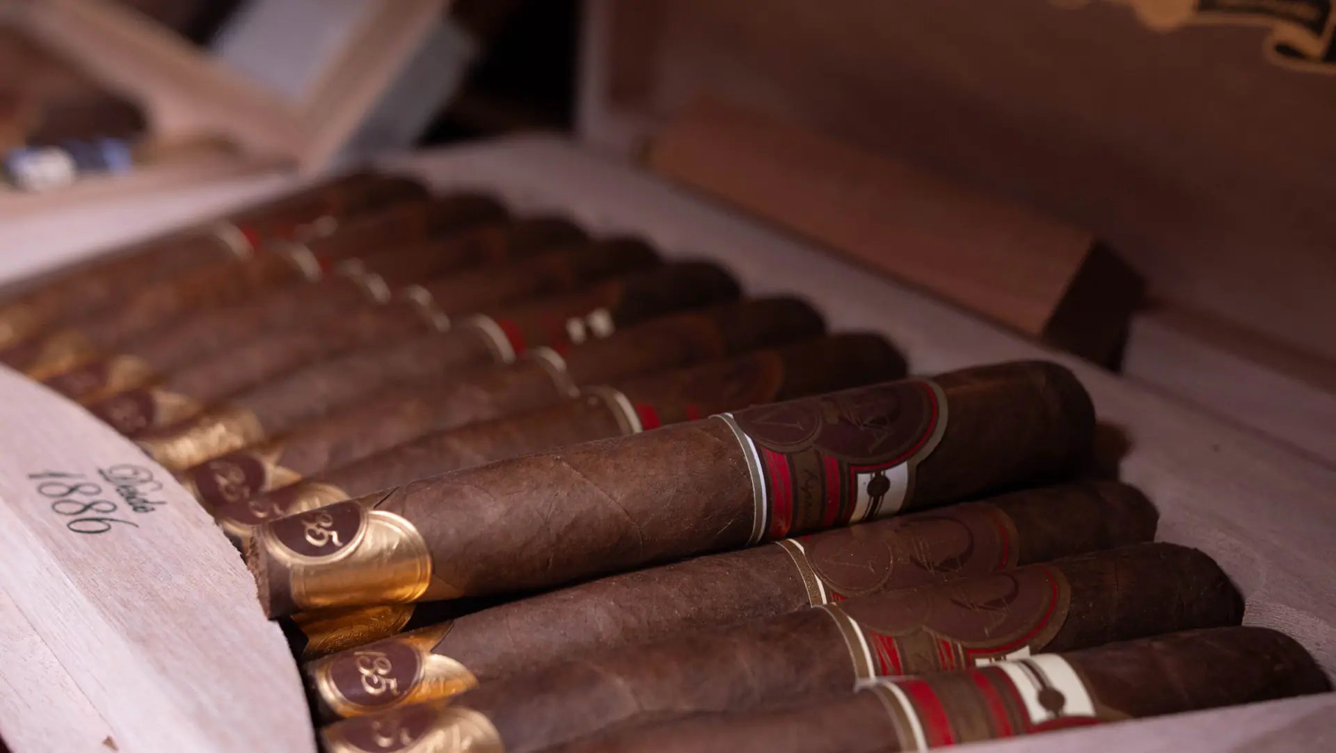 Banded premium cigars lined up in an open cedar box